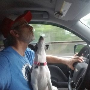 Meet your Posher, Andy